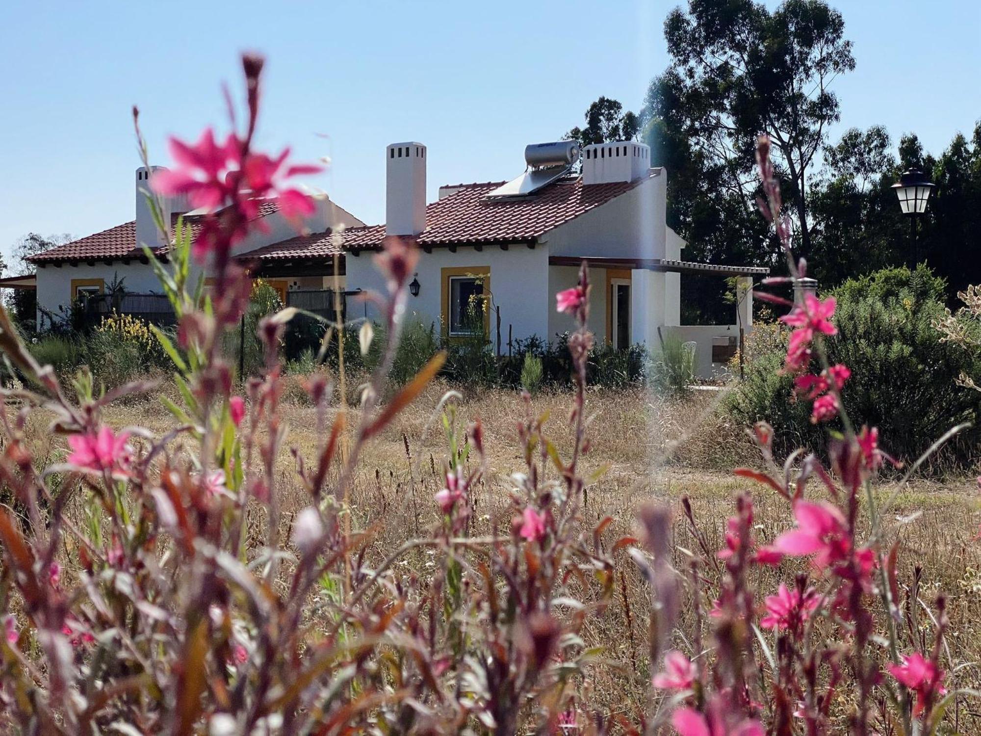 Villa Monte Dos Cachoupos São Luís Exterior foto